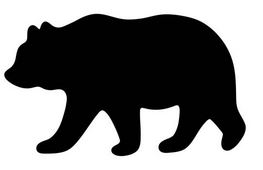 Rencontre insolite dans le Val d'Aran / Un ours attaque un sanglier sur le bord de la route
